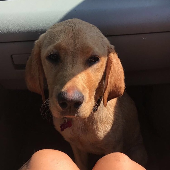 Meet your Posher, Mary - Picture 1 of 1